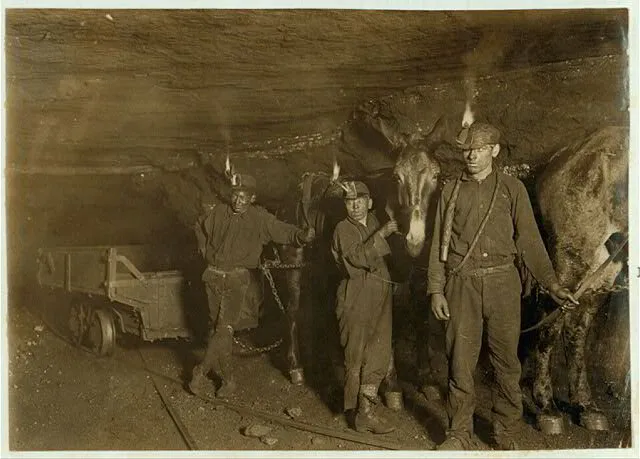 Beginner's Guide to Coal Mining