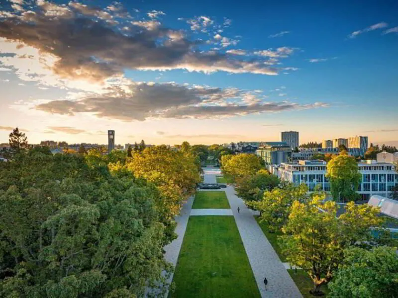 Top 10 Mining Engineering Schools in North America