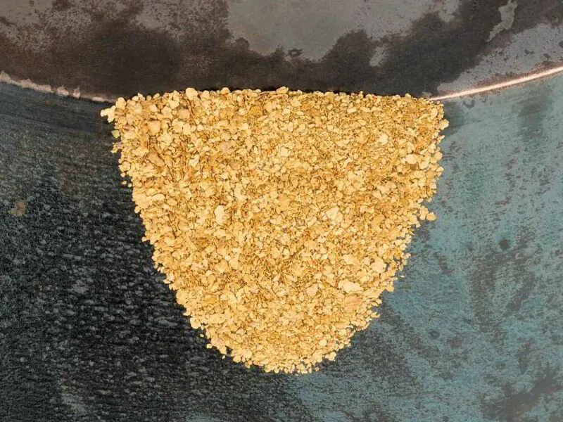 What Is Placer Mining?